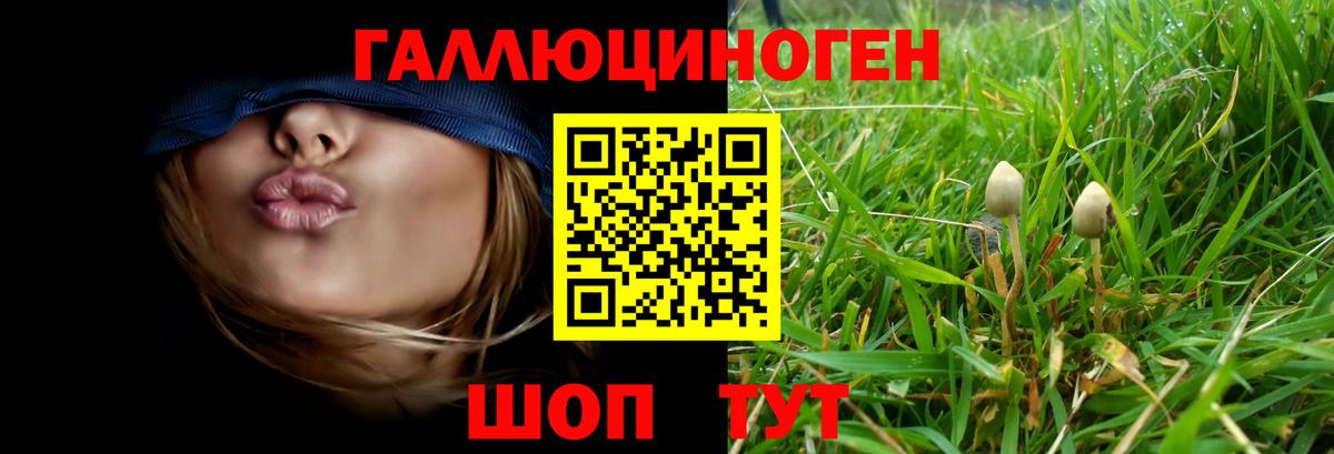 Волгоград  Псилоцибиновые грибы Psilocybine cubensis  Вход с VPN 